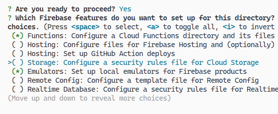 Setting up Firebase features for the project directory.
