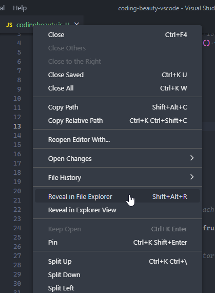 Revealing the current file in File Explorer/Finder from VS Code.